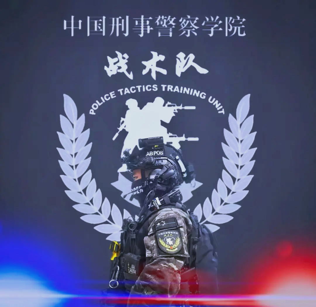 关于国家队青训人员培训加紧，打造更强技战术体系的信息